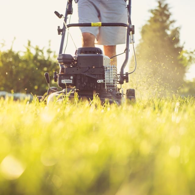 Lawn Care & Yard Cleanup